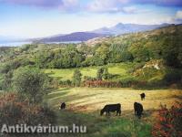 Spectacular Ireland