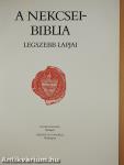 A Nekcsei-Biblia legszebb lapjai