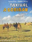 Taxival a Góbiban
