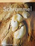 Schrammel