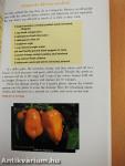 The Habanero Cookbook