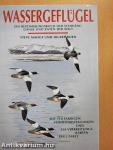 Wassergeflügel