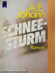 Schneesturm