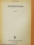 Schneesturm