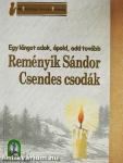 Csendes csodák