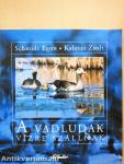 A vadludak vízre szállnak