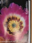 Debreceni pozsgástár 2004. 1-4./Magyar Pozsgásgyűjtők Közhasznú Egyesülete Maglistája 2005./MKOE Közlemények 2005/1./MKOE Magjegyzék 2005. február/Kaktusblüte April 2000/April 2001/April 2002/April 2003/April 2004