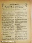 Galamb a kalitkában