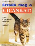Értsük meg a cicánkat!