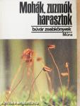 Mohák, zuzmók, harasztok