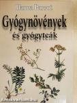 Gyógynövények és gyógyteák