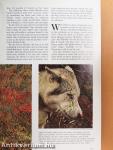 National Geographic 1973. I-II. (nem teljes évfolyam)