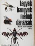Legyek, hangyák, méhek, darazsak