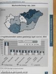 A magyar régiók zsebkönyve 2004