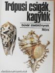 Trópusi csigák, kagylók