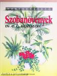 Szobanövények