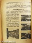 Folyadékok mechanikája