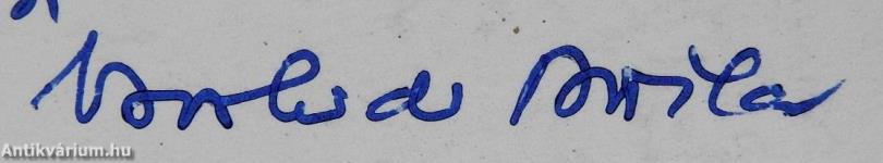 Adolf Olivér Horvát Doctor academiae