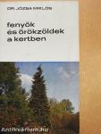Fenyők és örökzöldek a kertben