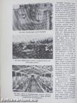 Állattenyésztés 1-3.