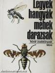 Legyek, hangyák, méhek, darazsak