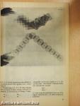 Fizika II. munkafüzet