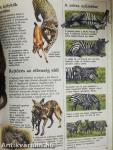 Az állatok nagy enciklopédiája