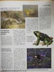 A természet megfejtett titkai