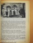 Fliegerkalender der DDR 1981