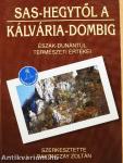 Sas-hegytől a Kálvária-dombig