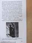 Kutyagondolatok nyomában
