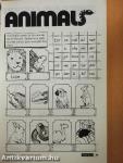English Puzzles 1.