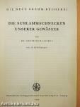 Die Schlammschnecken unserer gewässer
