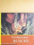 Eichhörnchen Buschi