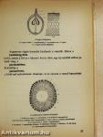 Tavasztól tavaszig a szőlőben