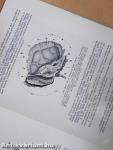 Orr-, fül-, gégészeti röntgendiagnosztika 