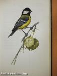 Petite Encyclopédie des Oiseaux