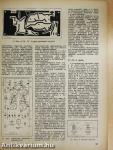 Rádiótechnika 1979. (nem teljes évfolyam)