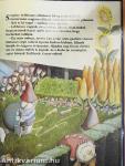 Lebbencs, a szellem-csemete