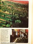 National Geographic March 1983
