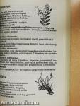 Aromalexikon