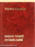 Vadon termő gyümölcsök (minikönyv)