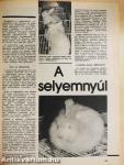 Élet és Tudomány 1988. január-december