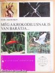 Még a krokodilusnak is van barátja...