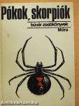Pókok, skorpiók