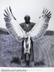 Afrikai tábortüzek