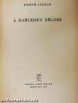 A Narcissus négere