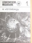 A vörösbegy
