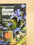Blumen Europas