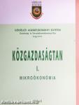 Közgazdaságtan I.